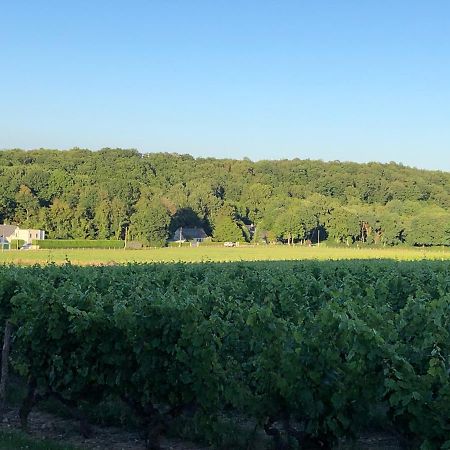 Gite De La Fontaine Bondree Vernou-sur-Brenne Buitenkant foto