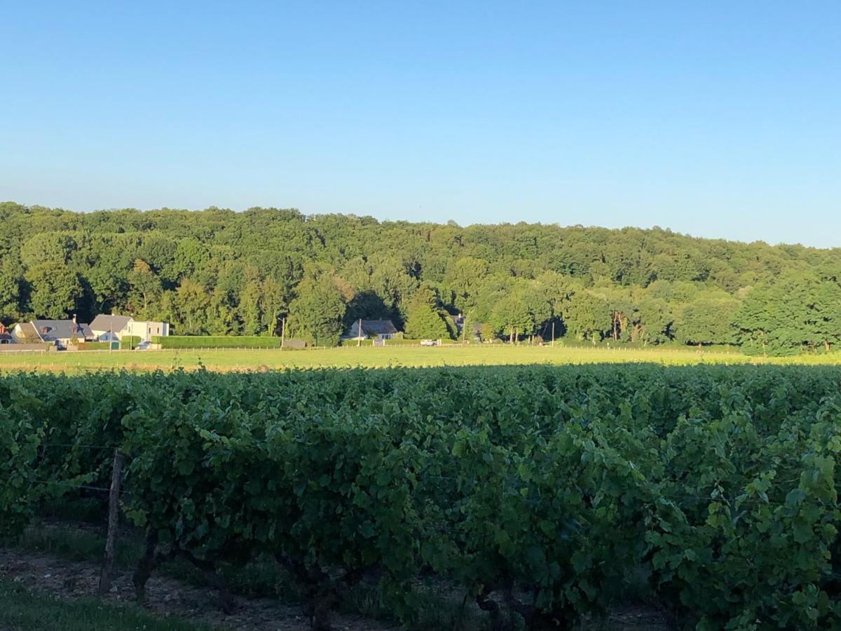Gite De La Fontaine Bondree Vernou-sur-Brenne Buitenkant foto